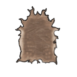 Fine Deer Leather