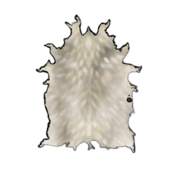 Fine Sheep Hide