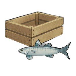 Flathead Sturlet