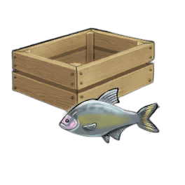 Gilt-Headed Bream