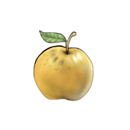 Golden Scrumptious Apple