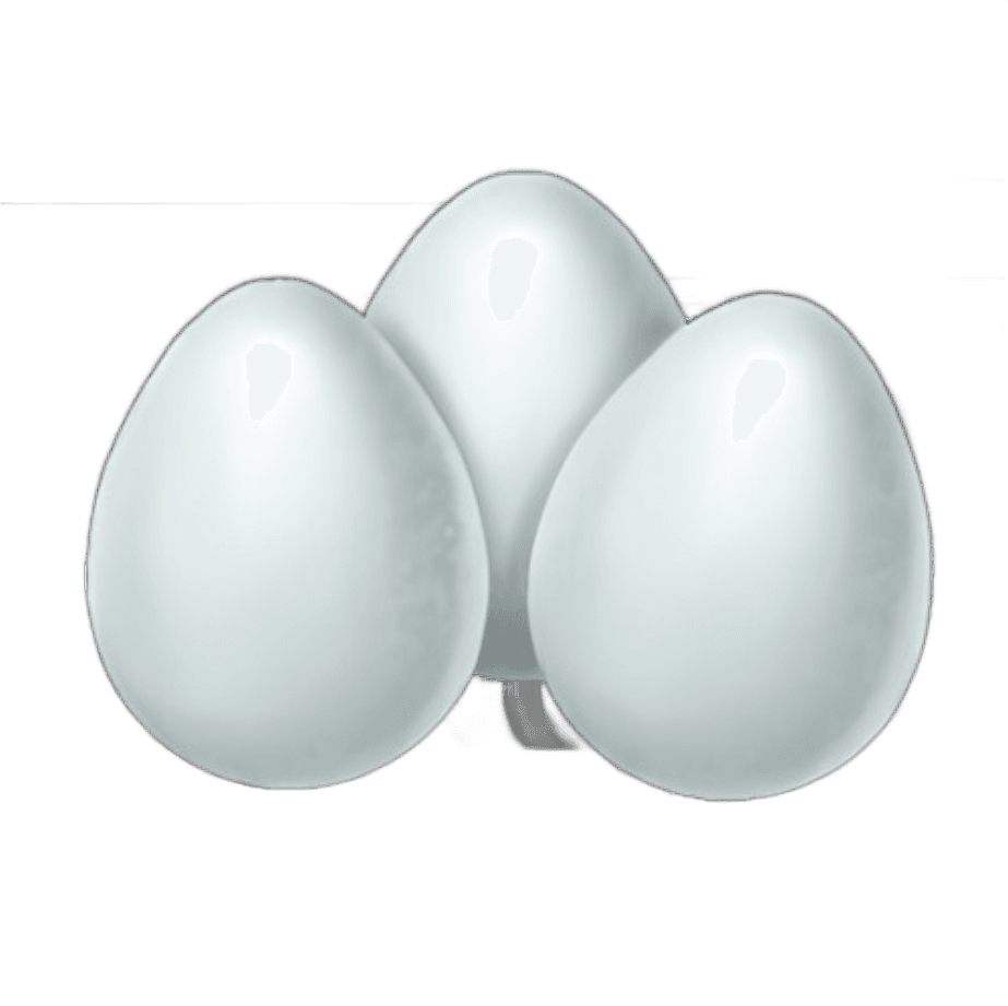 Gourmet Eggs