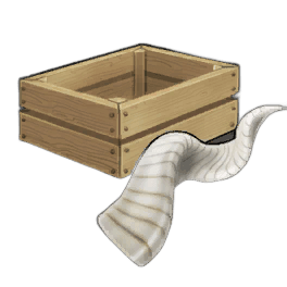 Immaculate Markhor Horn