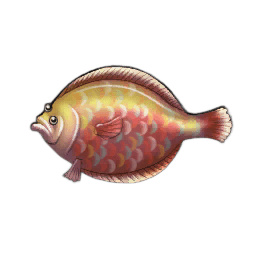 Jelly Flounder
