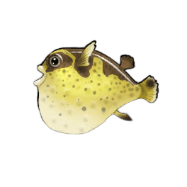 Lemon Pufferfish