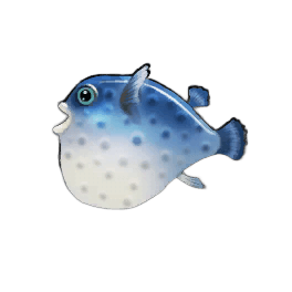 Lonely Pufferfish
