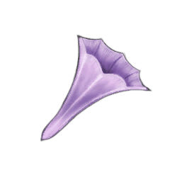 Mauve Bellplant
