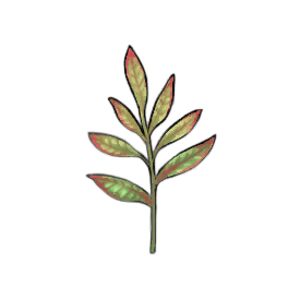 Mighthelm Sage