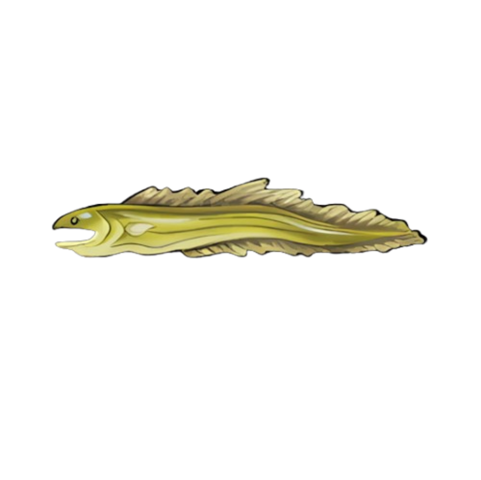 Moray Eel