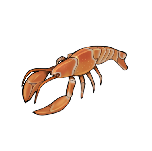 Orange Lobster