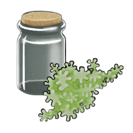 Patch Lichen