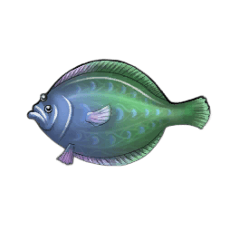 Peacock Flounder