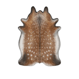 Perfect Deer Hide
