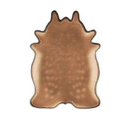 Perfect Deer Leather