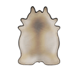 Perfect Halebeast Leather