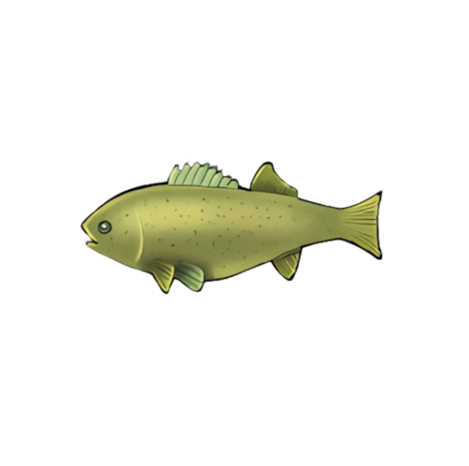 Placid Bass