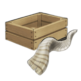 Pristine Markhor Horn