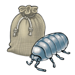 Reclusive Louse