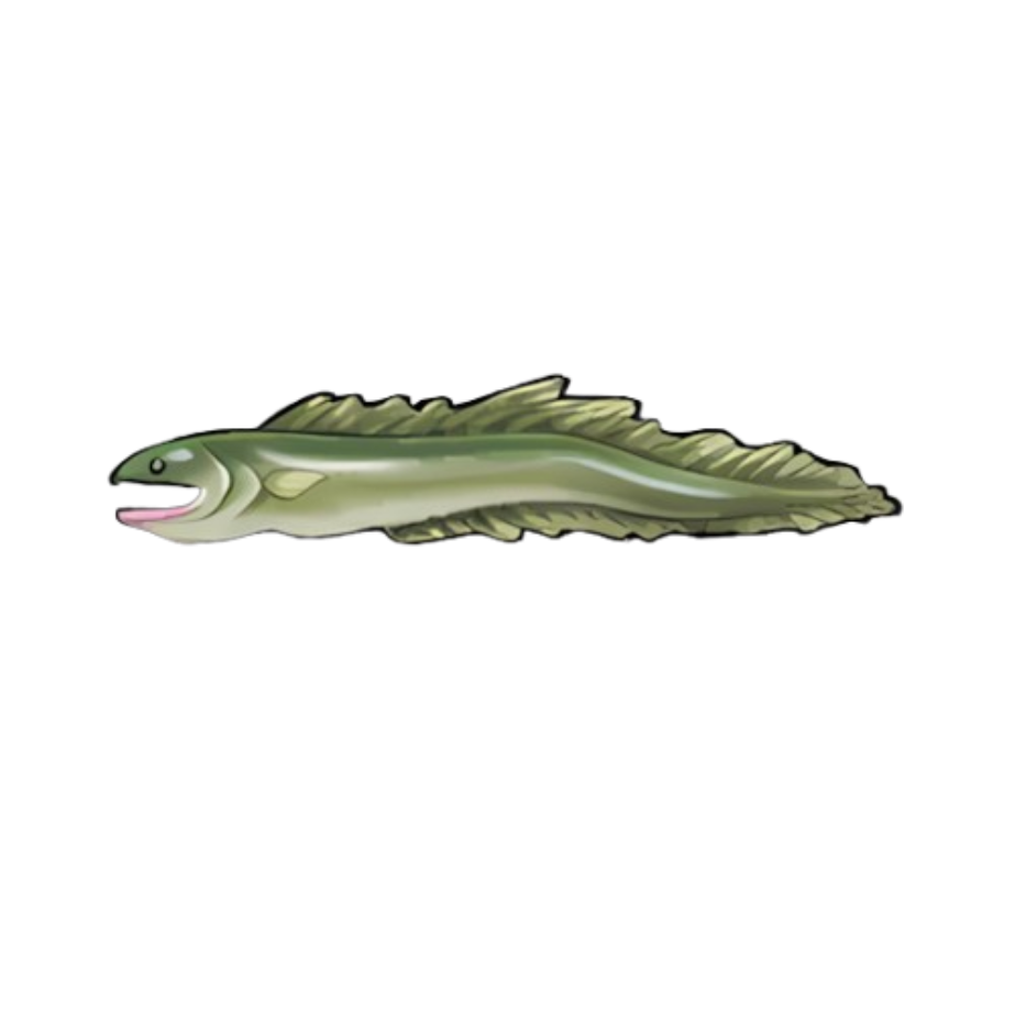 Rord Eel
