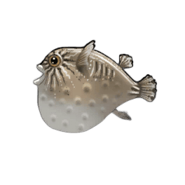 Rubber Pufferfish