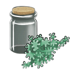 Samuel's Lichen