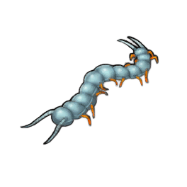 Scuttling Centipede