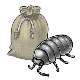 Shadow Louse