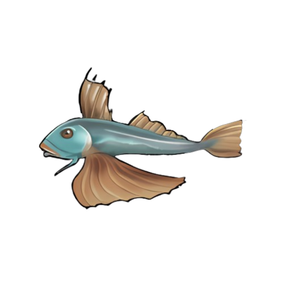 Shiny Gurnard