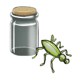 Sour Bug