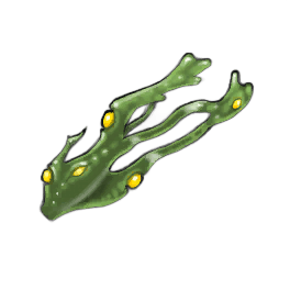 Spiral Wrack