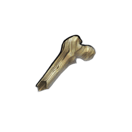 Striated Femur Shard