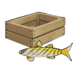 Striped Sturlet