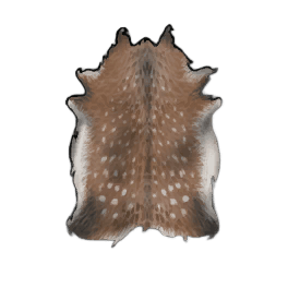 Strong Deer Hide