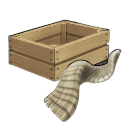 Sturdy Markhor Horn
