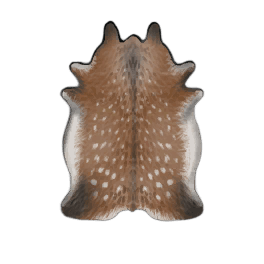 Superior Deer Hide