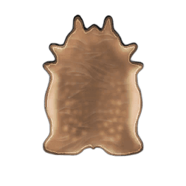 Superior Deer Leather