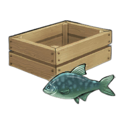 Surf Bream