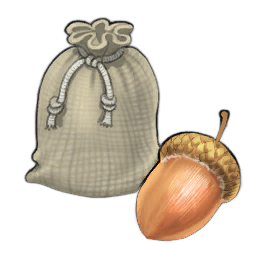Sweet Acorn