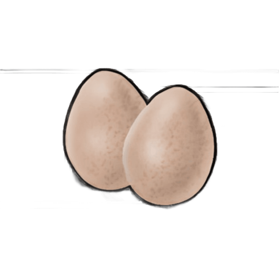 Tasty Eggs