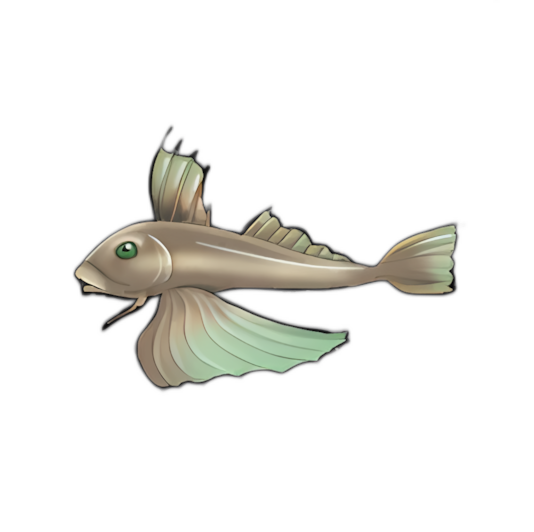 Torpedo Gurnard
