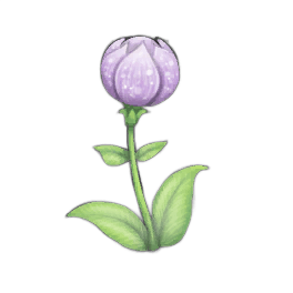 Violet Globeplant