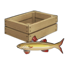 Western Sturlet